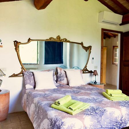 Agriturismo Quarantallina Buonconvento Dış mekan fotoğraf