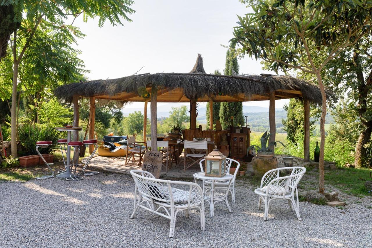 Agriturismo Quarantallina Buonconvento Dış mekan fotoğraf